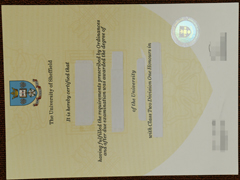 Sheffield University diploma & transcript , ord