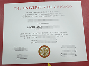 University of Chicago bachelor degree, how to make 