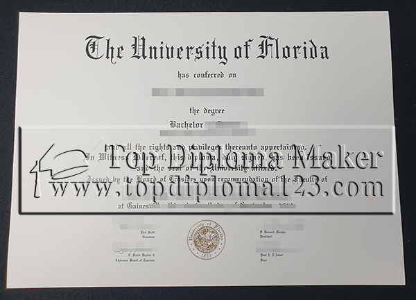  University of Florida degree