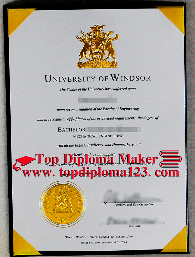  University Of Windsor Degree