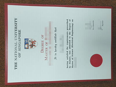 NUS, National University of Singapore diploma sampl