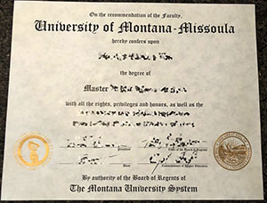 How much is a fake degree certificate from the Univ
