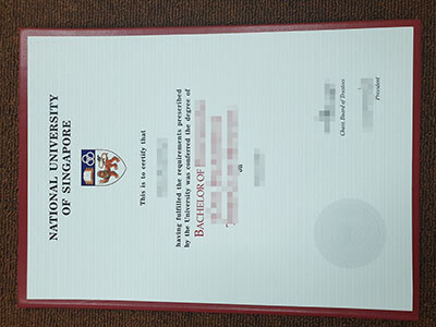 Fake NUS Degree, Buy fake National University of Si