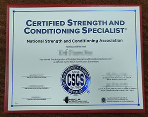 How much does it cost for a Fake NSCA CSCS Certific