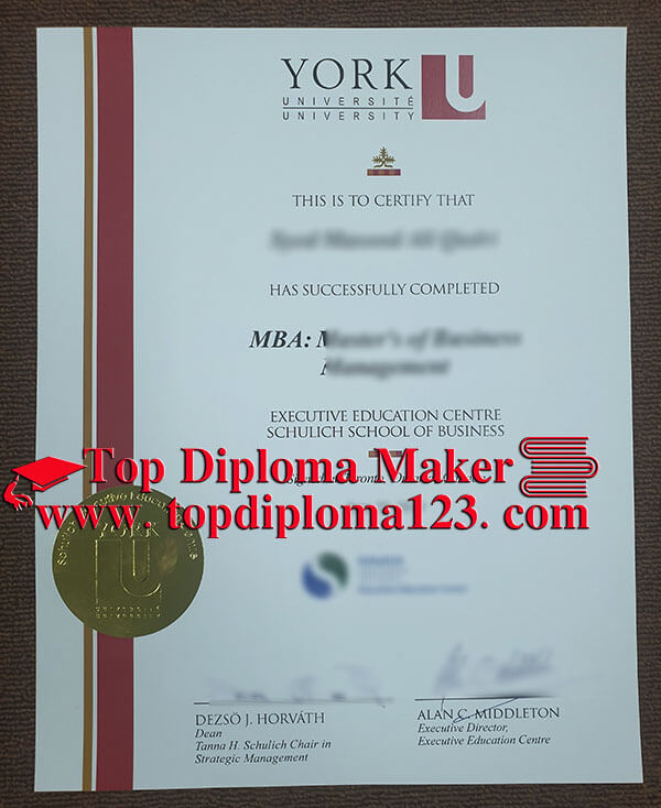 Fake York University degree