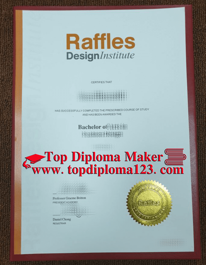  Raffles Design Institute degree