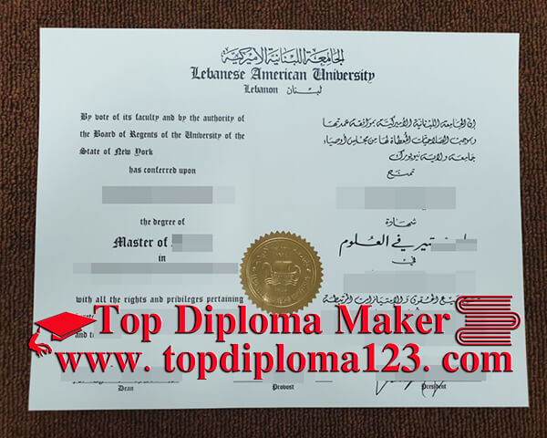 Lebanese American University master degree