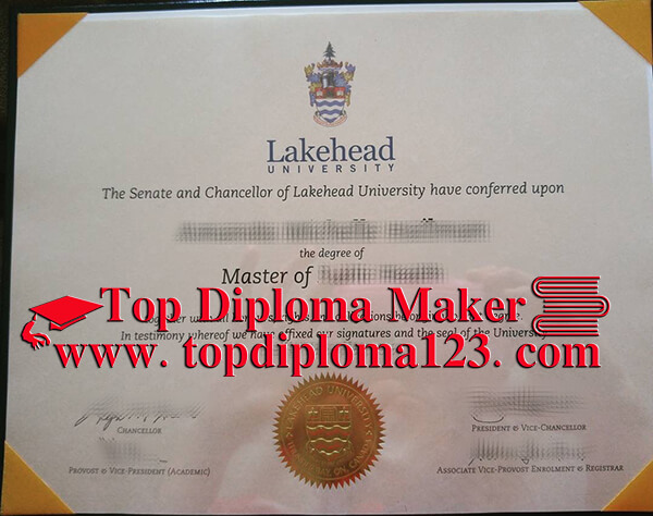  Lakehead University master degree