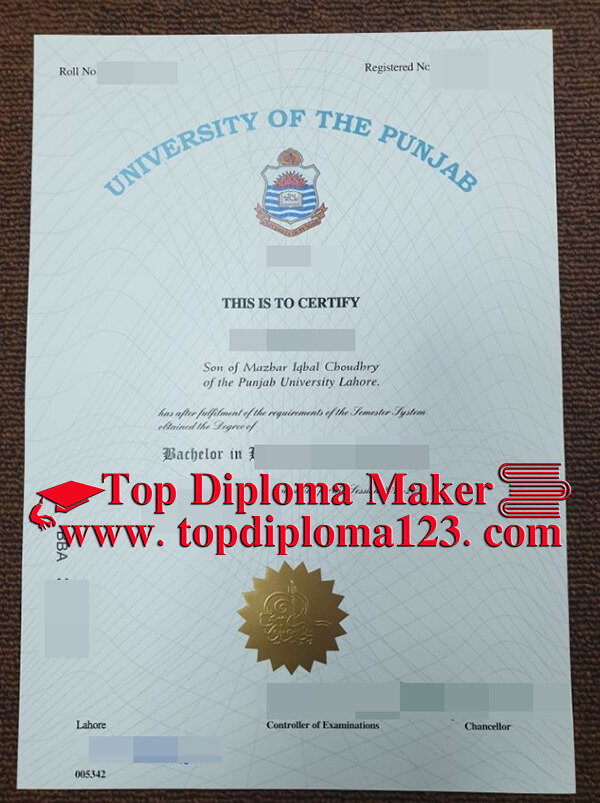  University of Punjab degree