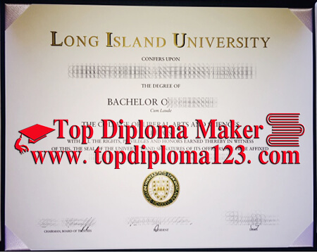  Long Island University degree