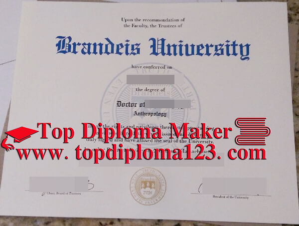 Brandeis University  degree
