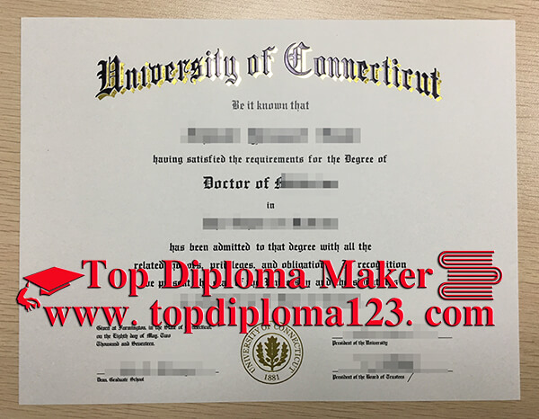  University Of Connecticut Degree