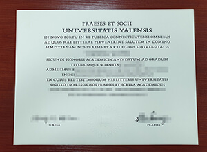 Popular sites looking for fake Yale University degr