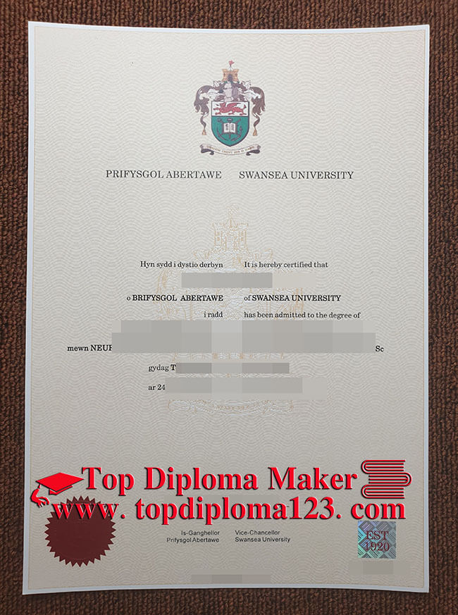 Swansea University Diploma