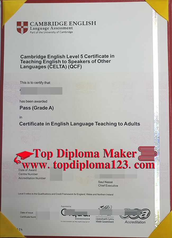 Cambridge English level 5 certificate