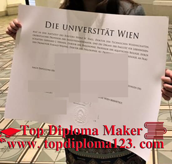 University of Vienna degree