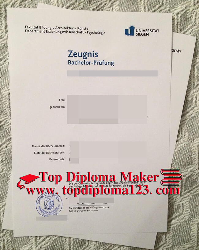 University of Siegen diploma