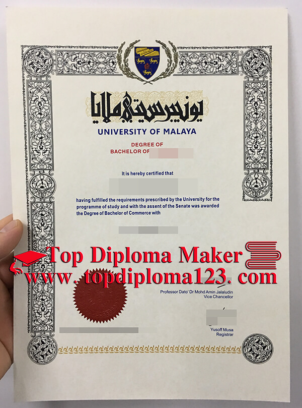  University of Malaya degree