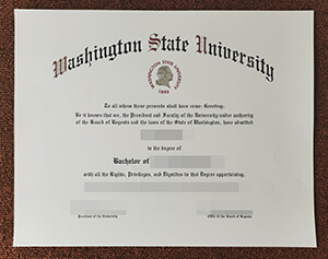 Purchase a WSU fake diploma, The fake Washington St