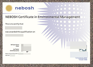 How to buy fake NEBOSH in Environmental Management 