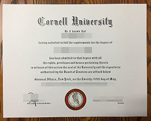 How to order a fake Cornell University diploma from