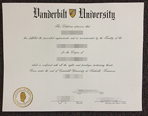 The 3 Best Things About buy fake Vanderbilt Univers