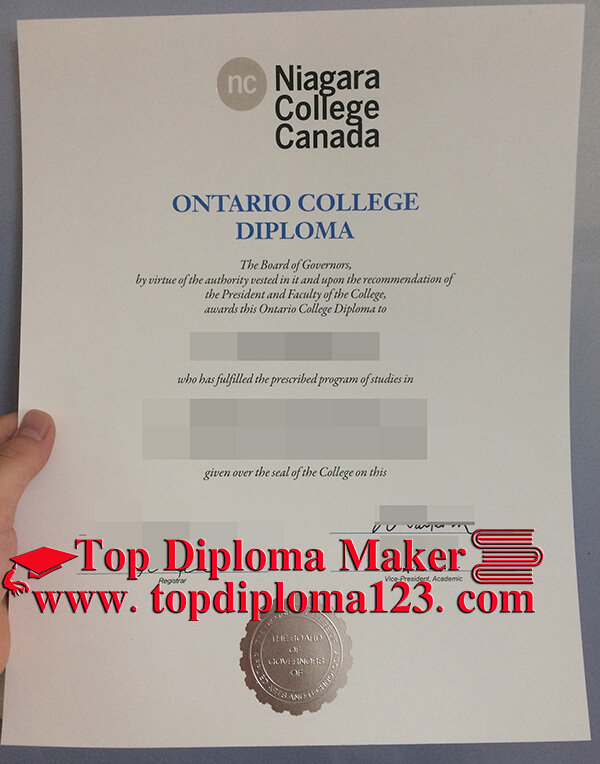  Niagara College degree