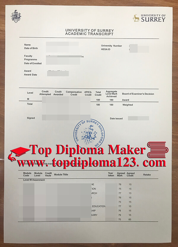University of Surrey Academic Transcript