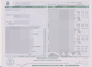 Memorial University of Newfoundland fake transcript