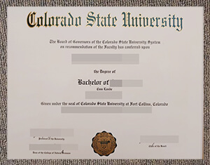 How to get the latest Colorado State University dip
