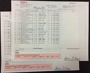 Seneca College of Applied Arts and Technology trans