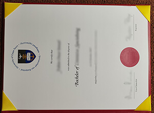 How to copy a fake University of Cape Town diploma,