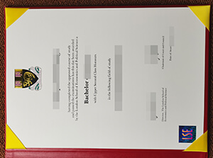 Fake LSE Degree certificate, London School Of Econo