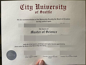 Where can I buy fake City University of Seattle dip