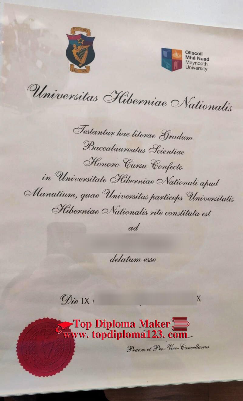 Maynooth University diploma