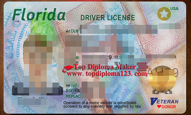  Florida driver license