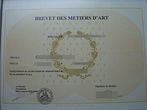 Brevet des métiers d'art certificate, Order a fake