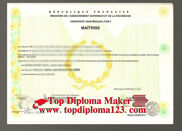 Université Jean Moulin Lyon 3 diploma