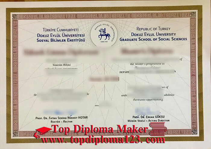  Dokuz Eylül University Diploma