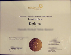 How Much Do You Charge For Norquest College Fake Di