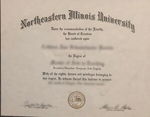 2 Facts About Buy A Fake NEIU Diploma Everyone Thin