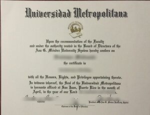 The Only Buy Universidad Metropolitana Fake Diploma