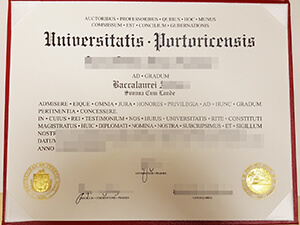 Universitatis Portoricensis fake diploma for sellin