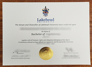 Where Can I Buy A Fake Lakehead University Bachelor