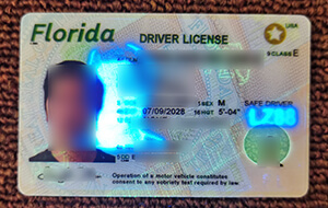 Can you apply for a Fake Florida drivers license on