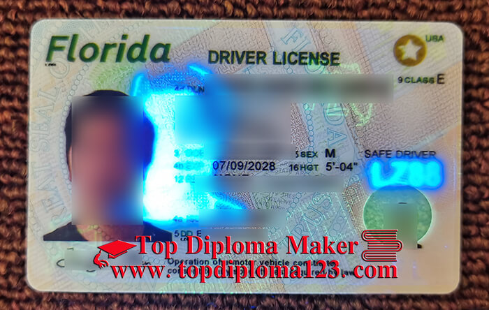 Florida drivers license