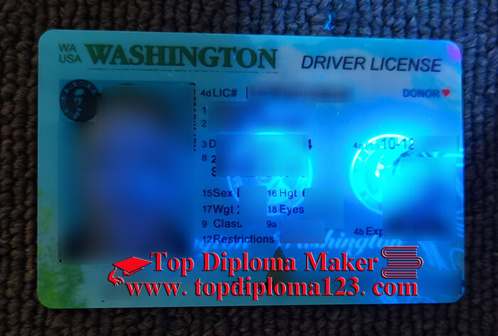 Washington Driver License