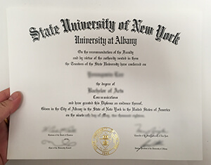 University at Albany-SUNY diploma， Buy fake SUNY 