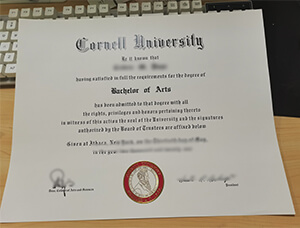The Subtle Art Of Making Fake Cornell University BA