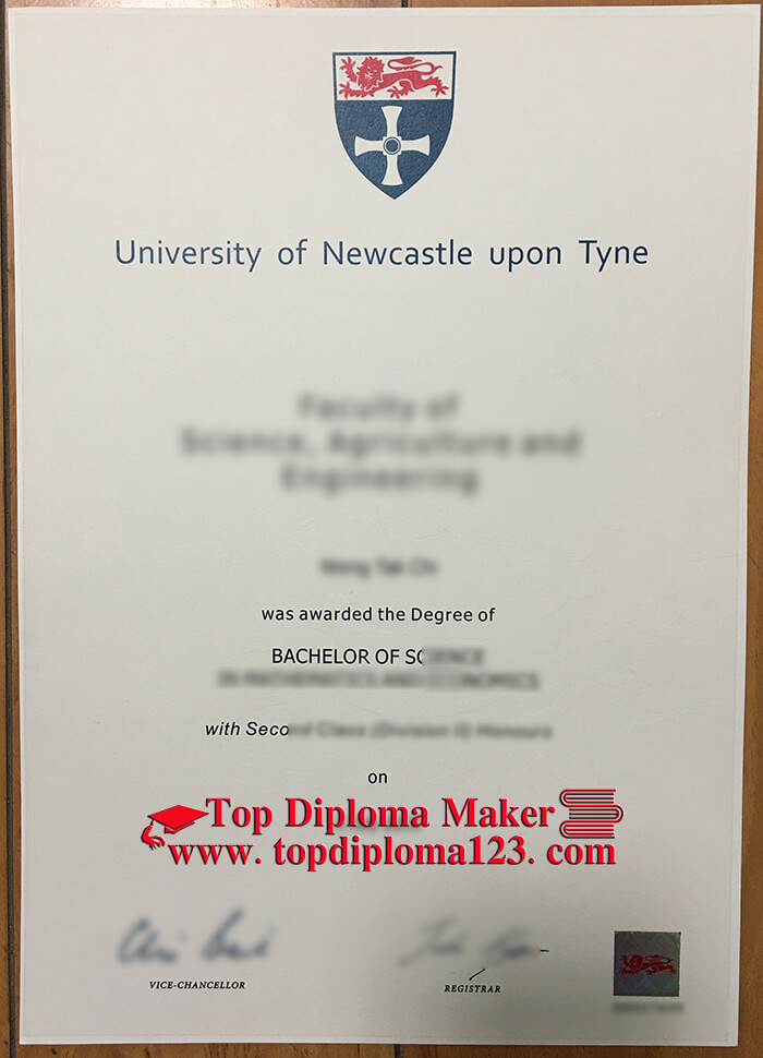  University of Newcastle upon Tyne Degree